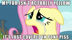 Size: 610x343 | Tagged: caption, crying, derpibooru import, edit, edited screencap, fluttershy, headcanon, image macro, implied watersports, meme, my fur isn't actually x it's just covered in y, screencap, suggestive, text, urine, wat