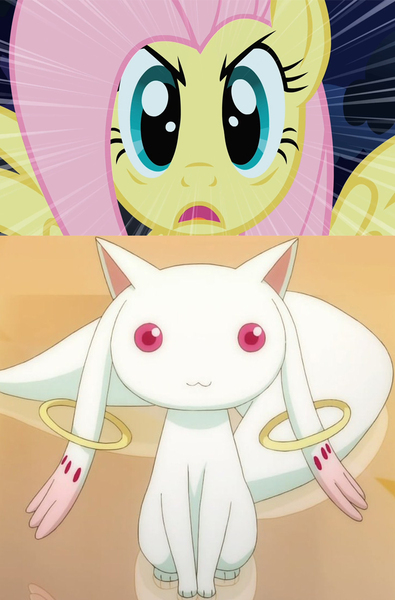 Size: 724x1100 | Tagged: derpibooru import, edit, edited screencap, emiri katou, fluttershy, incubator (species), kyubey, puella magi madoka magica, safe, screencap, stare, stare master, the stare, voice actor joke