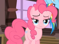 Size: 819x613 | Tagged: safe, derpibooru import, screencap, pinkie pie, rainbow dash, earth pony, pegasus, three's a crowd, female, mare, offscreen character, pinkie pie is not amused, solo focus, unamused