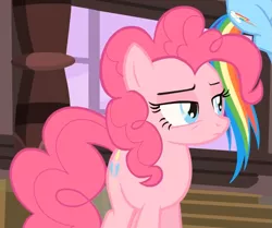 Size: 775x649 | Tagged: safe, derpibooru import, screencap, pinkie pie, rainbow dash, earth pony, pegasus, three's a crowd, animation error, female, mare, offscreen character, pinkie pie is not amused, solo focus, unamused, unimpressed