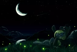 Size: 3000x2022 | Tagged: safe, artist:alyxsp, derpibooru import, derpy hooves, doctor whooves, time turner, firefly (insect), insect, pegasus, pony, cuddling, doctorderpy, eyes closed, female, grass, lake, male, mare, moon, night, on back, pointing, reflection, shipping, shooting star, snuggling, stars, straight