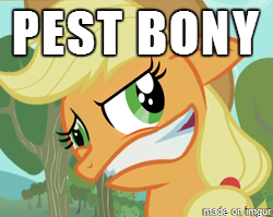 Size: 250x199 | Tagged: safe, derpibooru import, applejack, pony, best pony, caption, faic, image macro, made on imgur, meme, pest bony, silly, silly pony, spoonerism, text, who's a silly pony