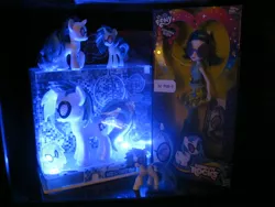 Size: 1600x1200 | Tagged: safe, derpibooru import, vinyl scratch, equestria girls, brushable, collection, display, doll, funko, mcdonald's happy meal toys, misb, much vinyl, ponied up, san diego comic con, shrine, toy