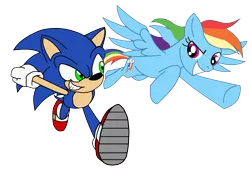 Size: 941x649 | Tagged: artist:cooleevee759, crossover, derpibooru import, rainbow dash, safe, simple background, sonic the hedgehog, sonic the hedgehog (series), transparent background, vector