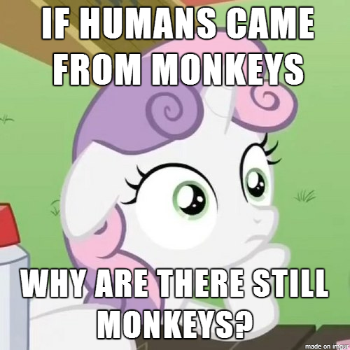 Size: 500x500 | Tagged: blatant lies, caption, creationism, derpibooru import, don't take it seriously, drama bait, evolution, exploitable meme, idiocy, image macro, low quality bait, meme, monkey, obligatory pony, op started shit, poe's law, safe, successful troll, sudden clarity sweetie belle, sweetie belle, text, that's not how science works