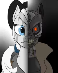 Size: 1600x2000 | Tagged: antagonist, artist:appletart-longshot, artist:slouping, cyborg, derpibooru import, endoskeleton, fallout equestria, fallout equestria: influx, fanfic art, gift art, glowing eye, hat, infiltrator, oc, oc:crystal eclair, oc:crystal éclair, oc:i-02 is, ponytail, protagonist, robot, safe, terminator, unofficial characters only, zebra