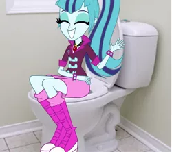 Size: 752x667 | Tagged: safe, derpibooru import, sonata dusk, equestria girls, but why, clothes, equestria girls in real life, skirt, toilet, you're doing it wrong