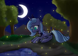 Size: 922x660 | Tagged: artist:xwreathofroses, derpibooru import, firefly (insect), insect, night, princess luna, prone, reflection, s1 luna, safe, solo