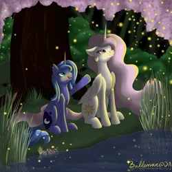 Size: 3000x3000 | Tagged: artist:dreamyartcosplay, derpibooru import, firefly (insect), forest, insect, pink-mane celestia, princess celestia, princess luna, s1 luna, safe, water, younger