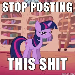 Size: 360x360 | Tagged: caption, derpibooru import, edit, edited screencap, image macro, it's time to stop posting, meme, reaction image, safe, screencap, solo, text, twilight sparkle, unamused