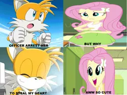 Size: 1024x765 | Tagged: safe, derpibooru import, screencap, fluttershy, equestria girls, caption, crossover, fluttertails, grammar error, image macro, meme, miles "tails" prower, pickup lines, shipping, sonic the hedgehog (series), text, wrong aspect ratio