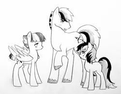 Size: 2977x2324 | Tagged: safe, artist:kianamai, derpibooru import, oc, oc:fletcher, oc:starburst, oc:synnøve, unofficial characters only, earth pony, pegasus, pony, kilalaverse, blushing, female, male, mare, monochrome, next generation, offspring, parent:flash sentry, parent:twilight sparkle, parents:flashlight, pencil drawing, stallion, traditional art, unshorn fetlocks