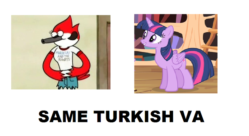 Size: 1003x549 | Tagged: safe, derpibooru import, twilight sparkle, twilight sparkle (alicorn), alicorn, pony, exploitable meme, female, mare, margaret, meme, regular show, same voice actor, turkish