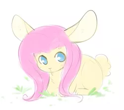 Size: 703x622 | Tagged: :<, animal, artist:pegacornss, bunnified, bunnyshy, cute, derpibooru import, fluttershy, large ears, looking at you, prone, rabbit, safe, solo, species swap, weapons-grade cute