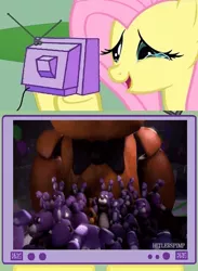 Size: 438x600 | Tagged: artist:hitlerspimp, bonnie, crossover, cute, daaaaaaaaaaaw, derpibooru import, exploitable meme, five nights at freddy's, fluttershy, freddy fazbear, meme, obligatory pony, safe, tv meme