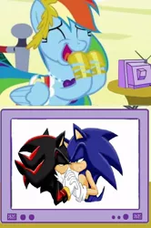 Size: 564x848 | Tagged: derpibooru import, exploitable meme, fangirl, gay, male, meme, obligatory pony, rainbow dash, safe, shadow the hedgehog, sonic the hedgehog (series), tv meme