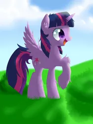 Size: 1944x2592 | Tagged: safe, artist:alexander56910, derpibooru import, twilight sparkle, twilight sparkle (alicorn), alicorn, pony, day, happy, hill, sky, solo