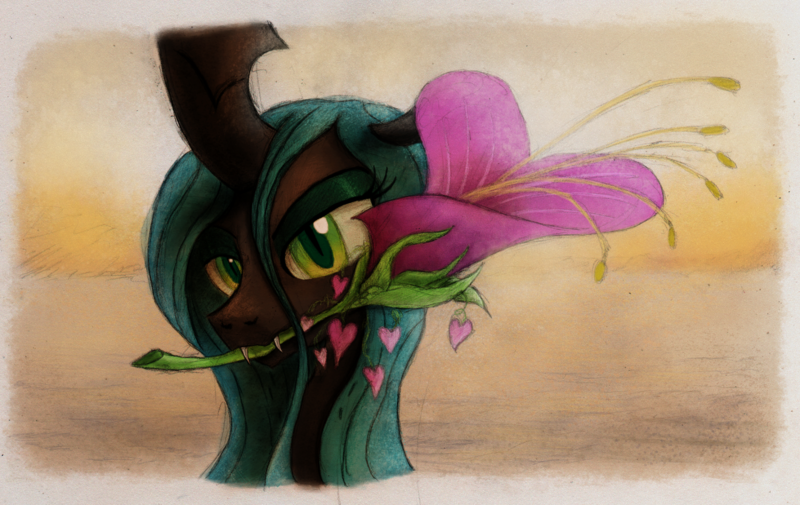 Size: 800x505 | Tagged: artist:hewison, bedroom eyes, derpibooru import, flower, flower in mouth, heart, heart's desire, looking at you, mouth hold, queen chrysalis, safe, solo