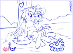 Size: 1427x1070 | Tagged: artist:jcosneverexisted, blushing, braeburn, derpibooru import, gay, hearts and hooves day, holiday, male, monochrome, safe, shipping, soarburn, soarin', valentine, valentine's day
