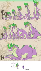 Size: 1280x2236 | Tagged: safe, artist:aviantheatrics, derpibooru import, spike, twilight sparkle, ask twilight and spike!, ask-twispike, female, male, older, older spike, shipping, straight, tumblr, twispike