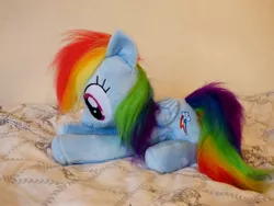 Size: 4608x3456 | Tagged: artist:epicrainbowcrafts, beanie (plushie), cute, derpibooru import, irl, photo, plushie, rainbow dash, safe, solo