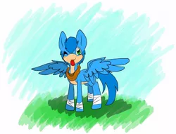 Size: 1024x782 | Tagged: safe, artist:unlucky-emogirl666, derpibooru import, ponified, pony, image, jpeg, solo, sonic boom, sonic the hedgehog, sonic the hedgehog (series)