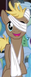 Size: 424x1064 | Tagged: safe, derpibooru import, screencap, dizzy twister, linky, orange swirl, shoeshine, theodore donald "donny" kerabatsos, pony, leap of faith, background pony, bandage, dirtbound