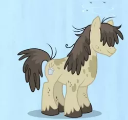 Size: 322x302 | Tagged: safe, derpibooru import, screencap, earth pony, pony, hearts and hooves day (episode), dirty, flies, hair over eyes, hearts and hooves day, male, pigpen, solo, stallion, the perfect stallion