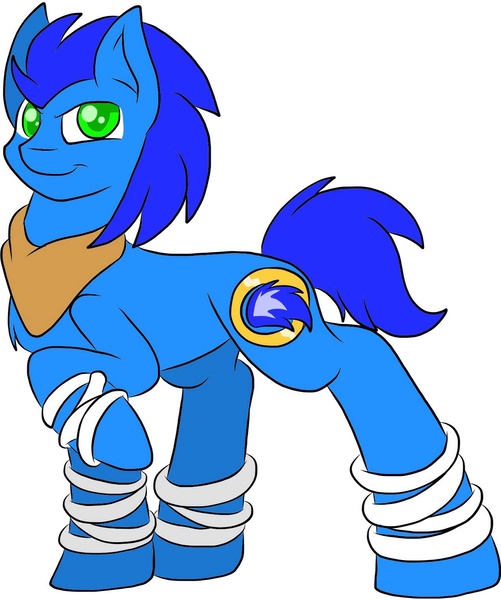 Size: 1272x1524 | Tagged: safe, artist:sparkle-the-cat-13, derpibooru import, ponified, pony, simple background, solo, sonic boom, sonic the hedgehog, sonic the hedgehog (series), white background