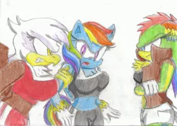 Size: 3493x2482 | Tagged: safe, artist:jcmx, derpibooru import, gilda, rainbow dash, oc, oc:niji, anthro, gryphon, sonicified, sonic the hedgehog (series), traditional art