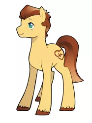 Size: 2378x3173 | Tagged: safe, artist:kianamai, derpibooru import, oc, oc:copper, unofficial characters only, pony, kilalaverse, freckles, male, next generation, offspring, offspring's offspring, parent:oc:amber lily, parent:oc:golden delicious, parents:oc x oc, simple background, smiling, solo, stallion, unshorn fetlocks, white background