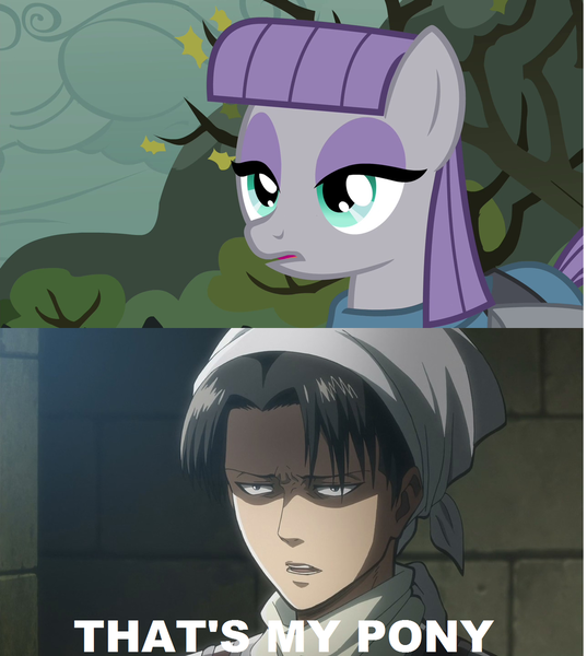 Size: 1024x1145 | Tagged: attack on titan, caption, derpibooru import, dialogue, edit, edited screencap, image macro, levi ackerman, maud pie, maud pie (episode), meme, safe, screencap, text, that's my pony, that's my x