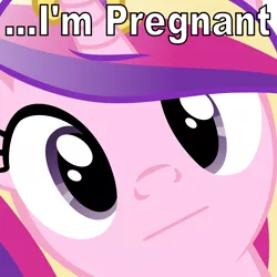 Size: 4800x4800 | Tagged: :|, absurd resolution, and that's how flurry heart was made, awkward moment, caption, close-up, derpibooru import, edit, face, hi anon, hilarious in hindsight, image macro, looking at you, meme, pregnant, princess cadance, safe, text