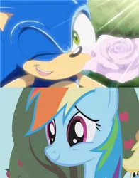 Size: 1304x1664 | Tagged: caption, copy and paste, crossover, derpibooru import, flower, image macro, meme, one eye closed, rainbow dash, rose, safe, screencap, sonic the hedgehog, sonic the hedgehog (series), text, wink