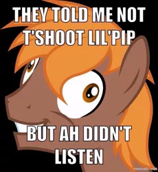 Size: 459x500 | Tagged: safe, derpibooru import, oc, oc:calamity, unofficial characters only, pegasus, pony, fallout equestria, fanfic, black background, caption, crazy face, derp, exploitable meme, faic, fanfic art, grin, i didn't listen, image macro, male, meme, simple background, smiling, solo, stallion, text, wide eyes, wings