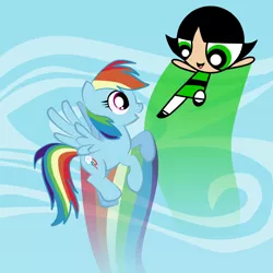 Size: 1000x1000 | Tagged: artist:vmkhappy-panda, buttercup (powerpuff girls), crossover, derpibooru import, rainbow dash, safe, the powerpuff girls