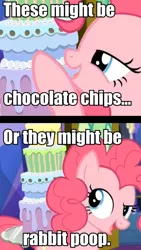 Size: 538x956 | Tagged: cake, caption, castle sweet castle, chocolate chips, derpibooru import, discovery family logo, food, image macro, meme, pinkie pie, poop, safe, screencap, seven-layer what's-that-flavour mystery surprise, text