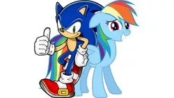 Size: 900x506 | Tagged: artist needed, copy and paste, crossover, derpibooru import, rainbow dash, safe, solo, sonic the hedgehog, sonic the hedgehog (series), source needed, useless source url