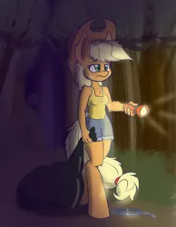 Size: 700x900 | Tagged: actual cannibal shia labeouf, anthro, applejack, artist:heir-of-rick, bag, bear trap, daily apple pony, derpibooru import, flashlight (object), safe, shia labeouf, this will end in tears