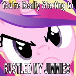 Size: 4800x4800 | Tagged: absurd resolution, angry, :c, >:c, caption, close-up, derpibooru import, edit, engrish, face, frown, grammar error, hi anon, image macro, jimmies, looking at you, meme, princess cadance, rustled my jimmies, safe, text
