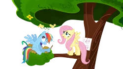 Size: 10667x6000 | Tagged: safe, artist:s.guri, derpibooru import, fluttershy, rainbow dash, bird, pegasus, pony, daring don't, absurd resolution, dazed, nest, simple background, transparent background, tree, tree branch, vector