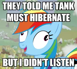 Size: 455x409 | Tagged: caption, derp, derpibooru import, exploitable meme, i didn't listen, image macro, meme, rainbow dash, rainbow derp, safe, solo, tanks for the memories, text