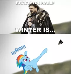 Size: 681x707 | Tagged: brace yourselves, derpibooru import, eddard stark, game of thrones, ño, punt, rainbow dash, safe, tanks for the memories