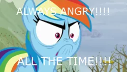 Size: 1280x720 | Tagged: angry, angry marines, crossover, derpibooru import, do i look angry, glare, meme, rainbow dash, safe, screencap, tanks for the memories, warhammer 40k, warhammer (game)