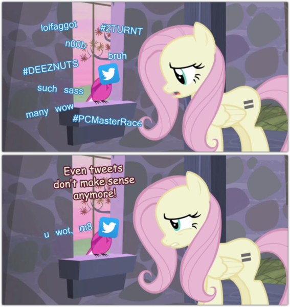 Size: 869x919 | Tagged: artist:grievousfan, bird, bruh, carmen, deez nuts, derpibooru import, doge, equal cutie mark, equalized, even tweets don't make sense anymore, faggot, fluttershy, meme, meta, pc master race, safe, slur, the cutie map, turnt, twitter, u wot m8, vulgar