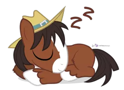 Size: 900x650 | Tagged: safe, artist:dm29, derpibooru import, trouble shoes, earth pony, pony, appleoosa's most wanted, colt, cute, eyes closed, fluffy, hat, little troubleshoes, male, onomatopoeia, prone, simple background, sleeping, smiling, solo, sound effects, stallion, transparent background, troublebetes, younger, zzz