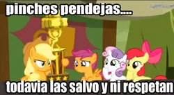 Size: 800x437 | Tagged: apple bloom, applejack, appleoosa's most wanted, caption, derpibooru import, edit, edited screencap, editor:animeclaro, image macro, meme, safe, scootaloo, screencap, spanish, sweetie belle, text, trophy, vulgar