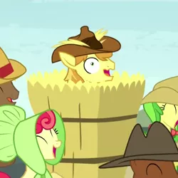 Size: 1080x1080 | Tagged: safe, derpibooru import, screencap, apple bumpkin, apple fritter, braeburn, coco crusoe, meadow song, pony, appleoosa's most wanted, apple family member, hay, hayburn