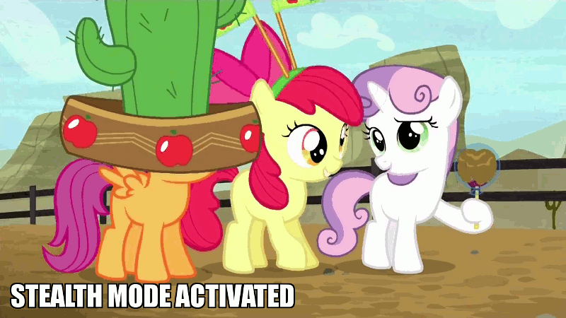 Size: 800x450 | Tagged: animated, apple bloom, appleoosa's most wanted, cactus hat, caption, cutie mark crusaders, derpibooru import, giant hat, hat, image macro, meme, safe, scootaloo, sweetie belle, text