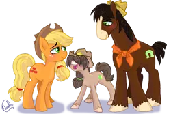 Size: 1024x683 | Tagged: safe, artist:mc10215, derpibooru import, applejack, trouble shoes, oc, unnamed oc, earth pony, pony, appleoosa's most wanted, blaze (coat marking), family, female, hat, male, mare, offspring, parent:applejack, parent:troubleshoes clyde, parents:troublejack, shipping, simple background, stallion, straight, transparent background, trio, troublejack